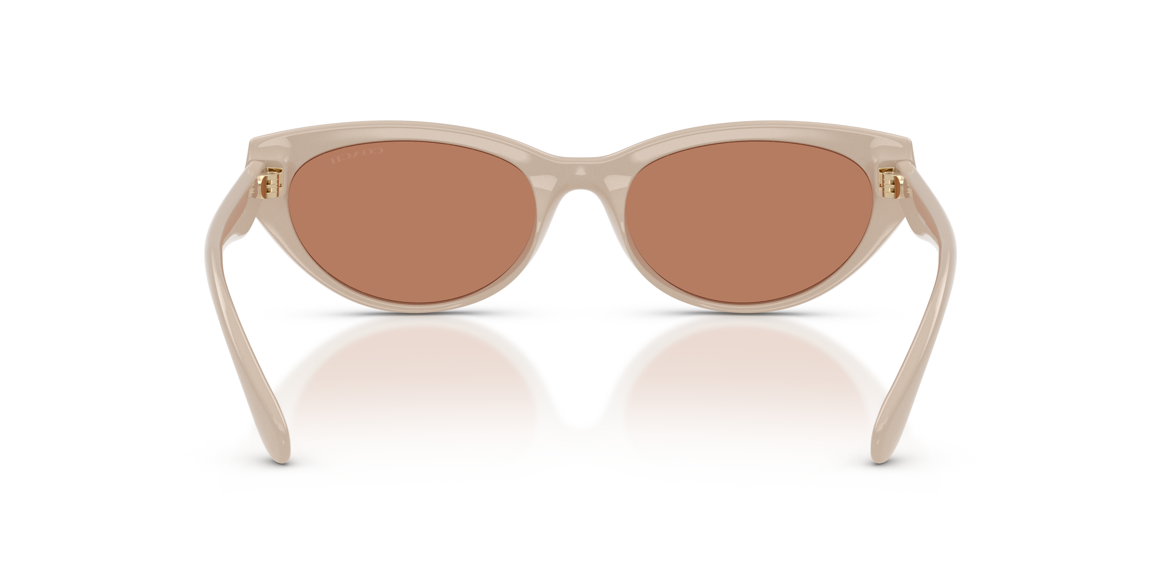 Coach HC8456D 58843 Cdp42 